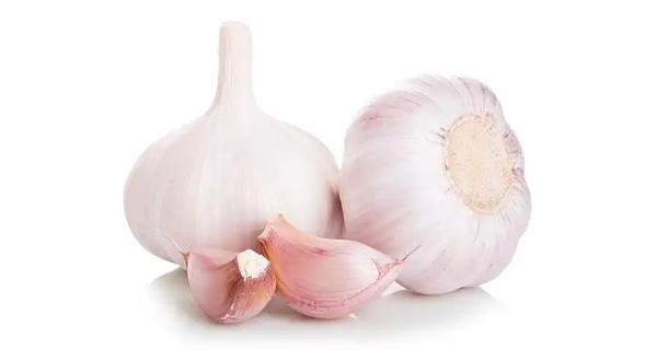 garlic