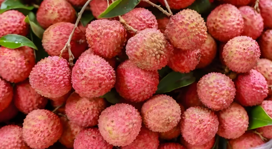 litchi